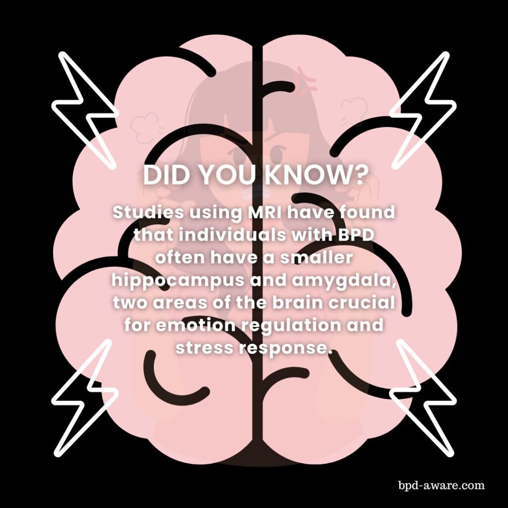 Did you know: The BPD Brain?