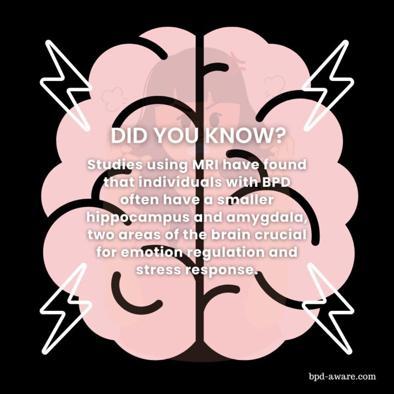 Brain Differences In People With BPD - BPD Aware