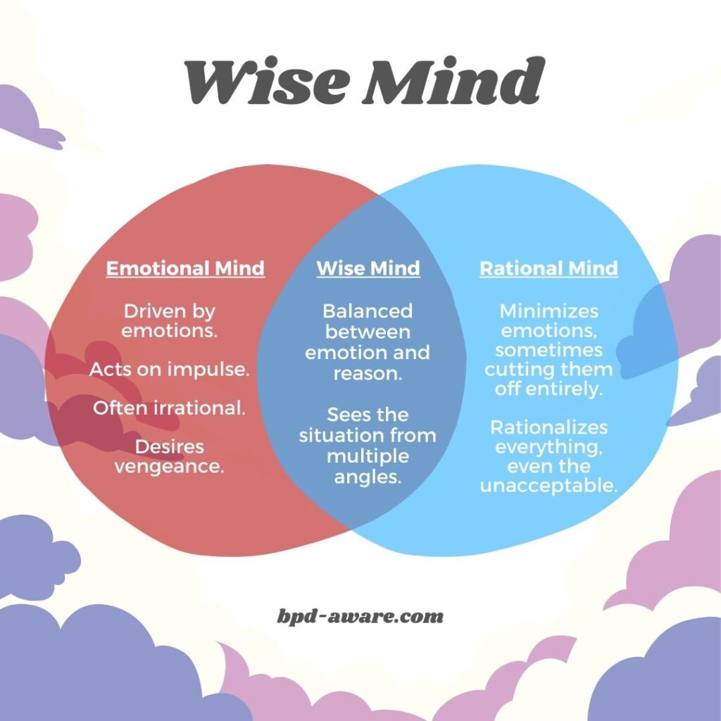 Wise Mind Venn Diagram