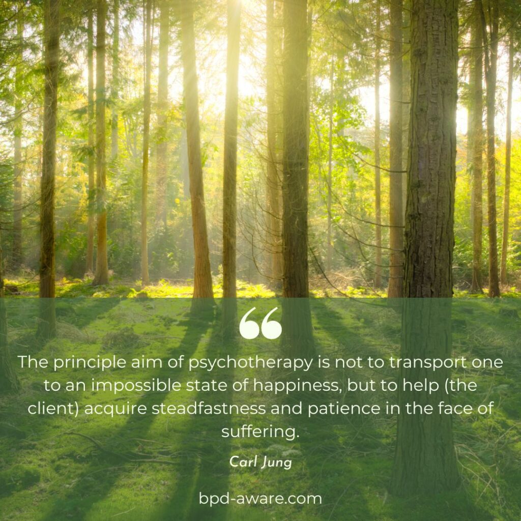 Carl Jung quote about the goals of therapy.